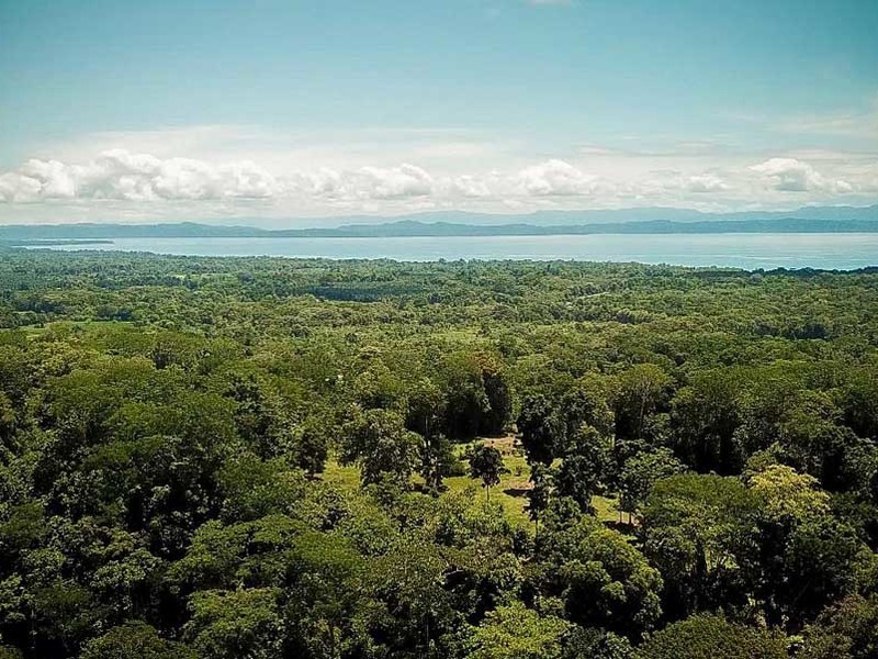 0 bed Lot/Land For Sale in Osa Peninsula,  - 1